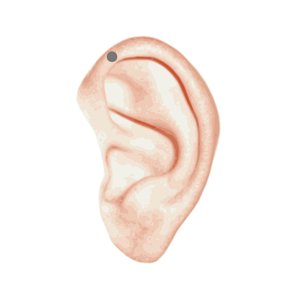 forward helix piercing