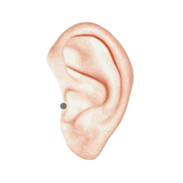 tragus piercing